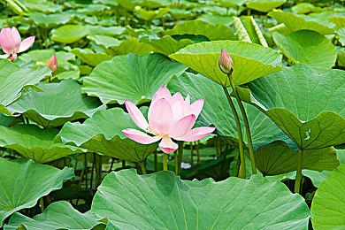 恐怖游戏《流浪之魂》新预告 万圣节发售